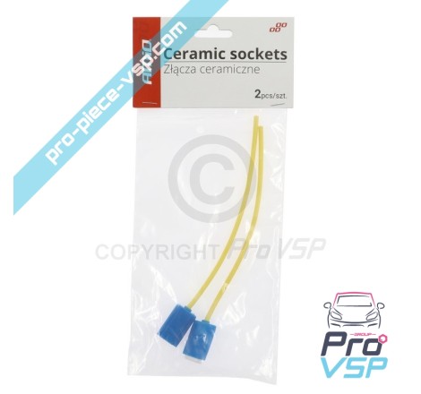 Connettore della lampadina