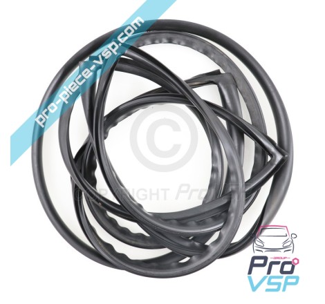 Windshield seal