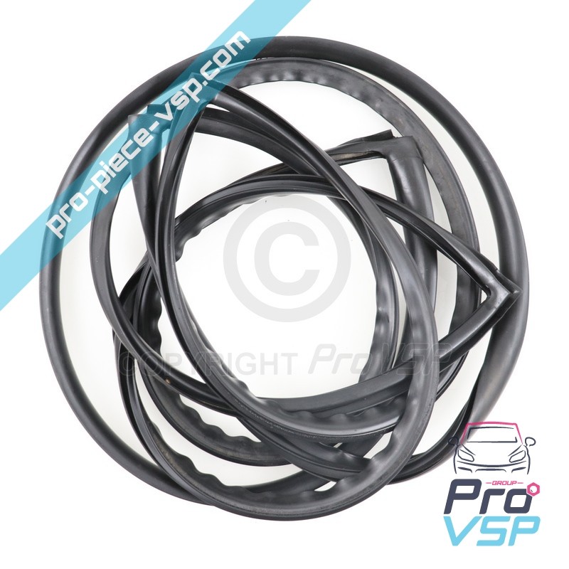 Windshield seal
