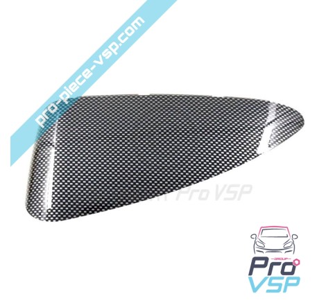 Carbon Case of Left Mirror