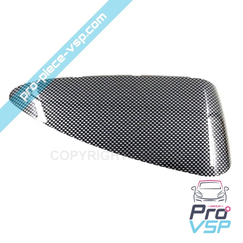 Carbon Case of Right Mirror