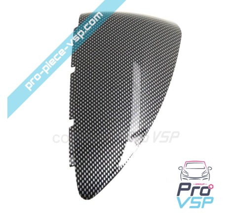 Carbon Case of Right Mirror