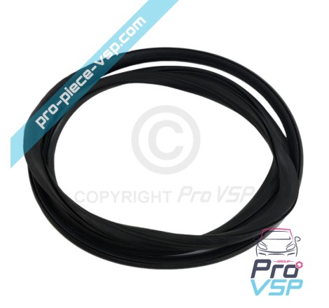 Windshield seal