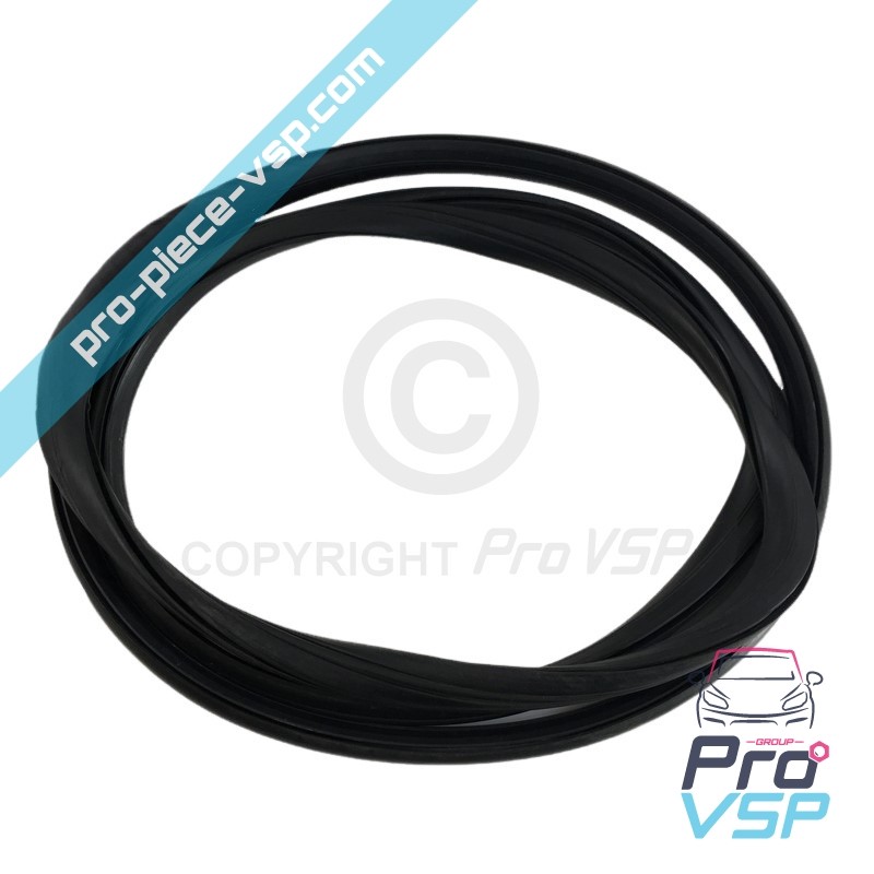 Windshield seal