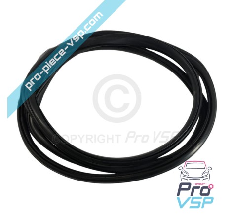 Windshield seal