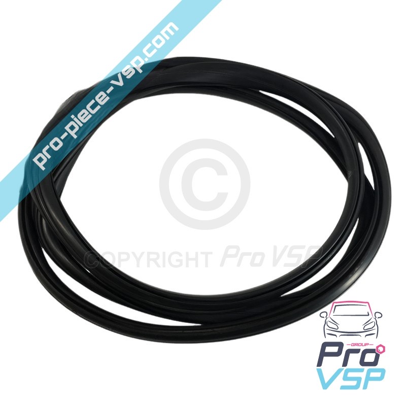 Windshield seal