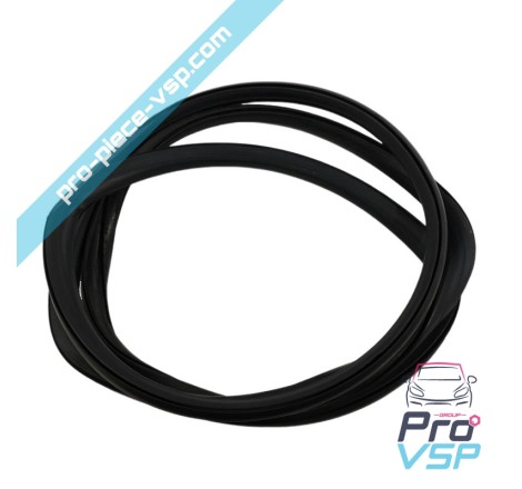 Windshield seal