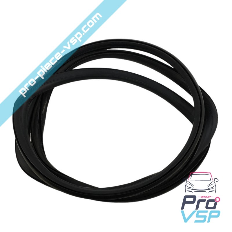 Windshield seal