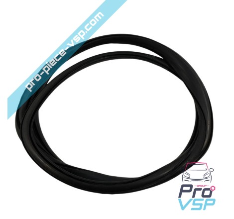 Windshield seal