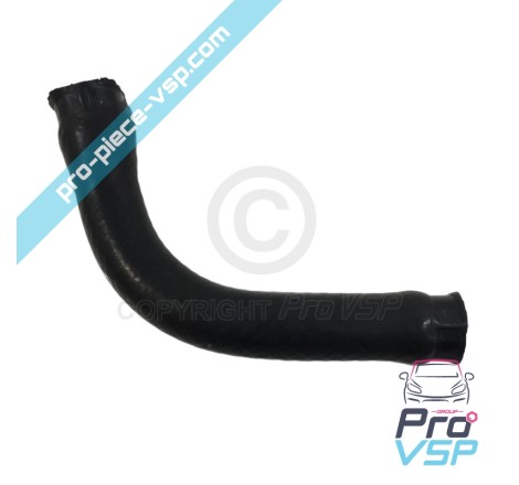 Radiator superior hose