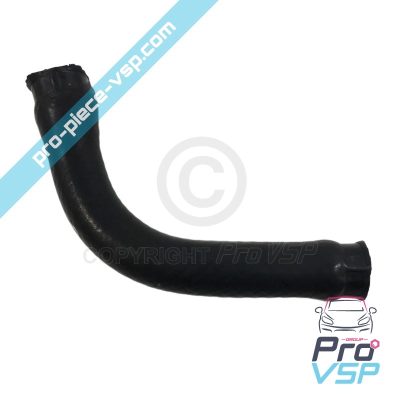 Radiator superior hose