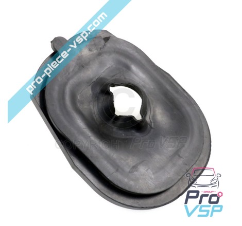 Entourage of master cylinder
