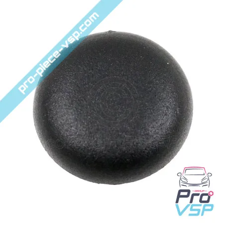 Rear window nut for Aixam and Minauto