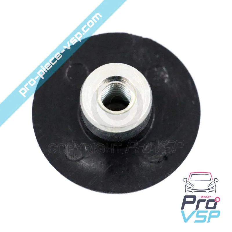 Rear window nut for Aixam and Minauto