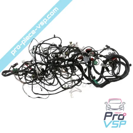 Fascicul electric folosit pentru Aixam