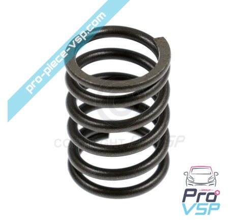 Valve spring