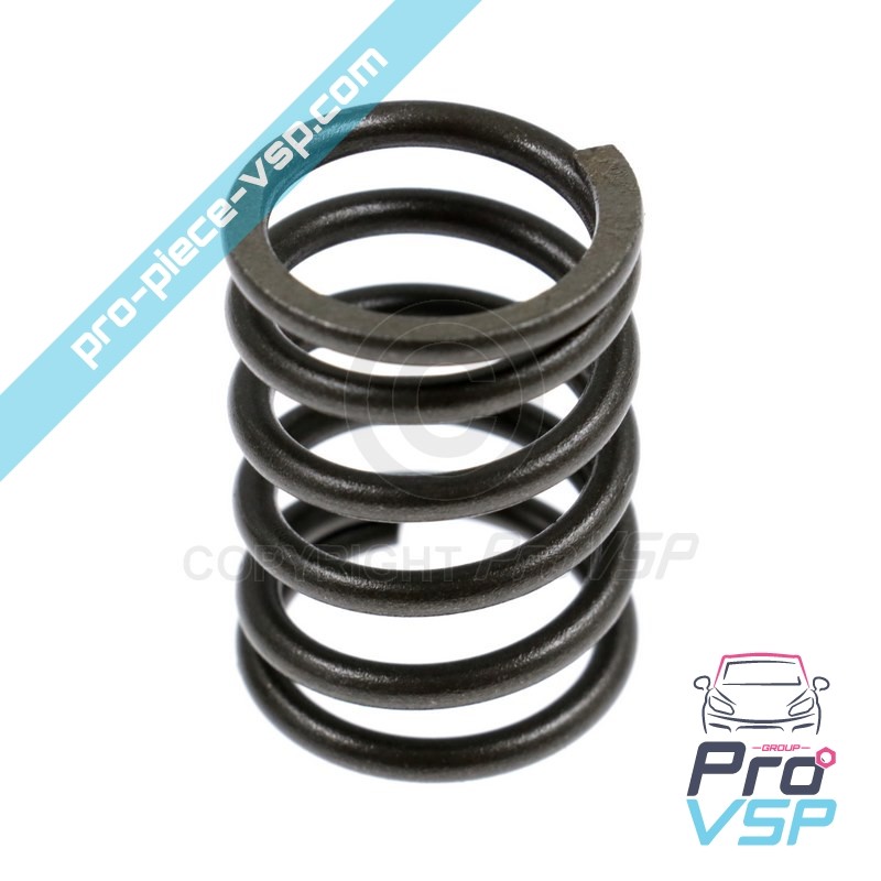 Valve spring