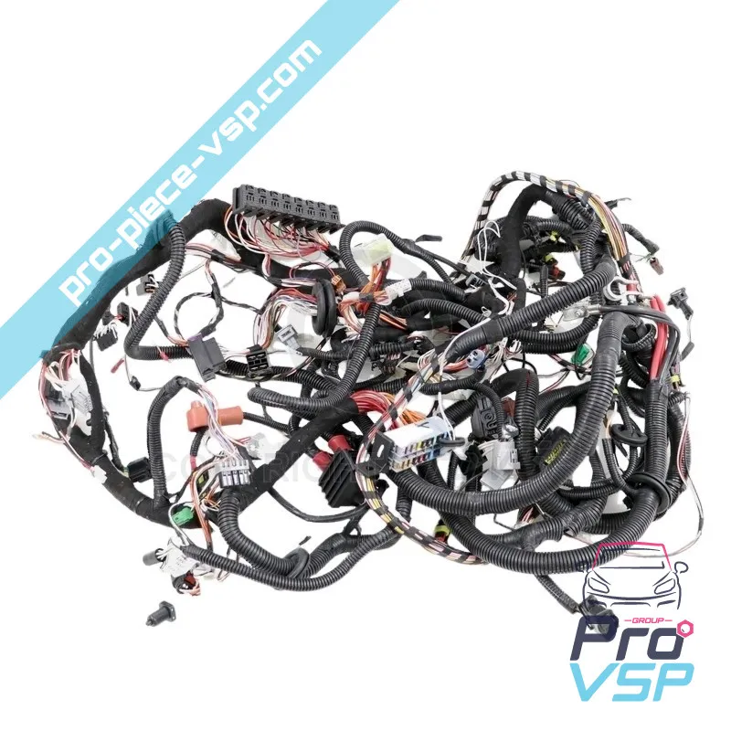 Fascicul electric folosit pentru Ligier