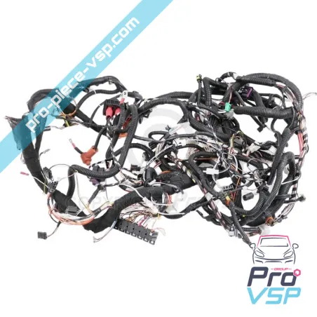 Fascicul electric folosit pentru Ligier