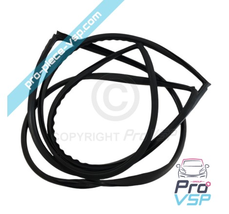 Windshield seal