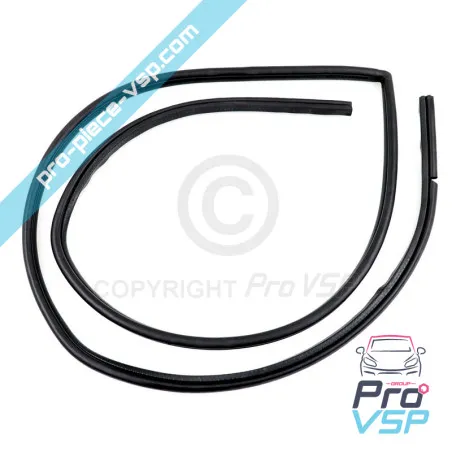 Guarnizione porta usata per Jdm