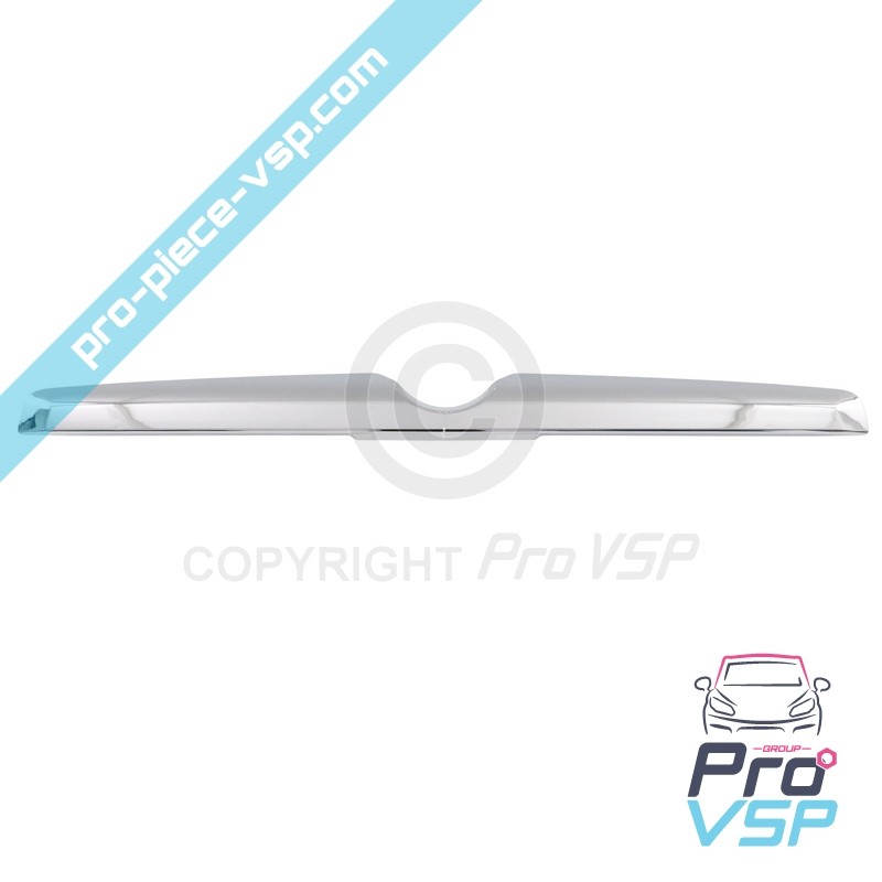Chrome tailgate baguette