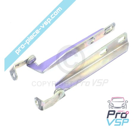 Dobradiças do capô usado para Ligier