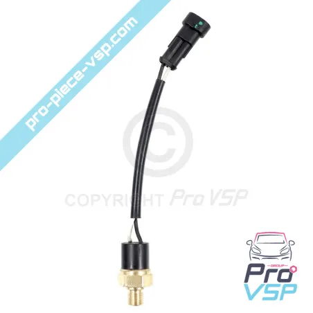 Senzor de temperatură utilizat pentru Aixam