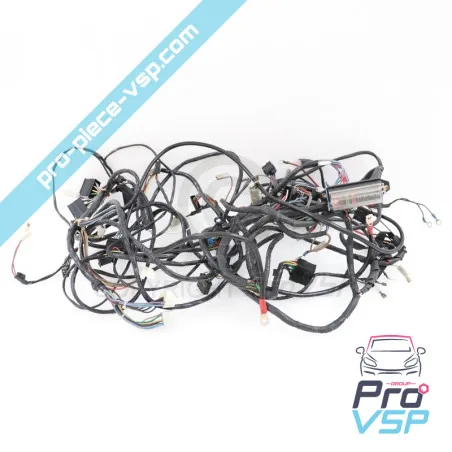 Fascicul electric folosit pentru Aixam 600i