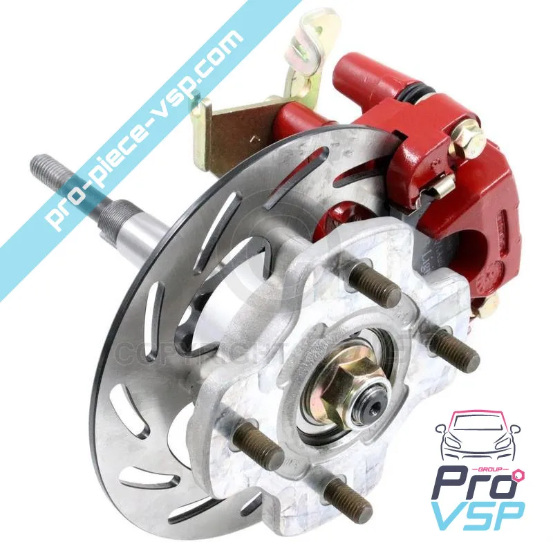 Set posteriore sinistro per microcar mgo 3 4 5 Ligier js50 Due P85 P88