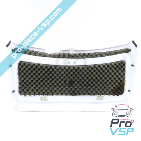 Capot occasion pour Microcar Spid