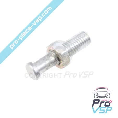 Greve de porta usada para Ligier Ambra