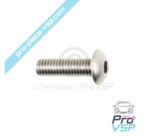 Door panel fastening screw