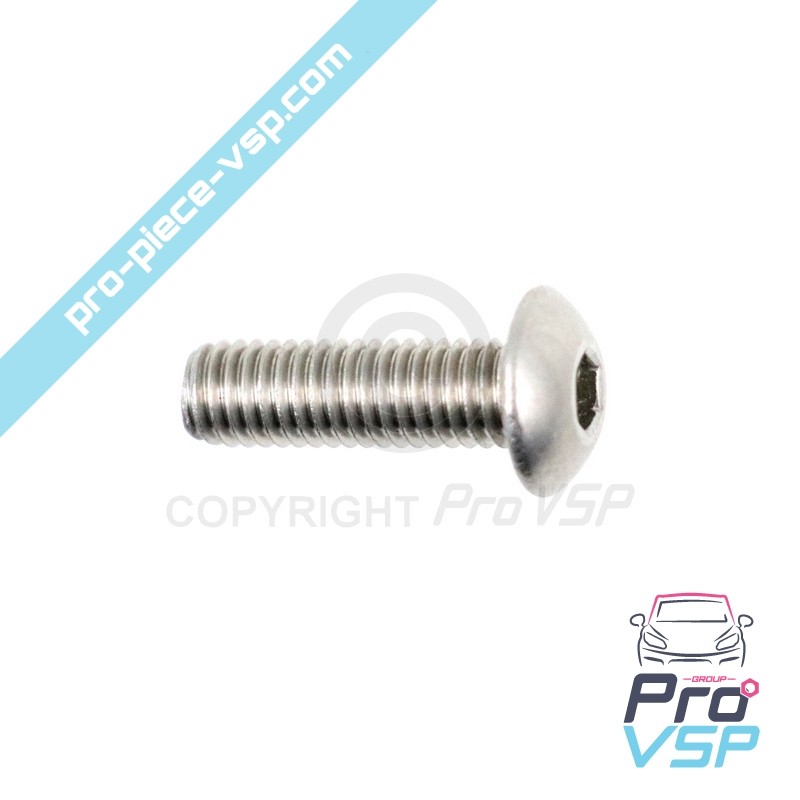 Door panel fastening screw