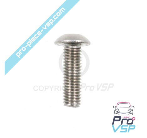 Door panel fastening screw