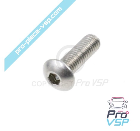 Door panel fastening screw