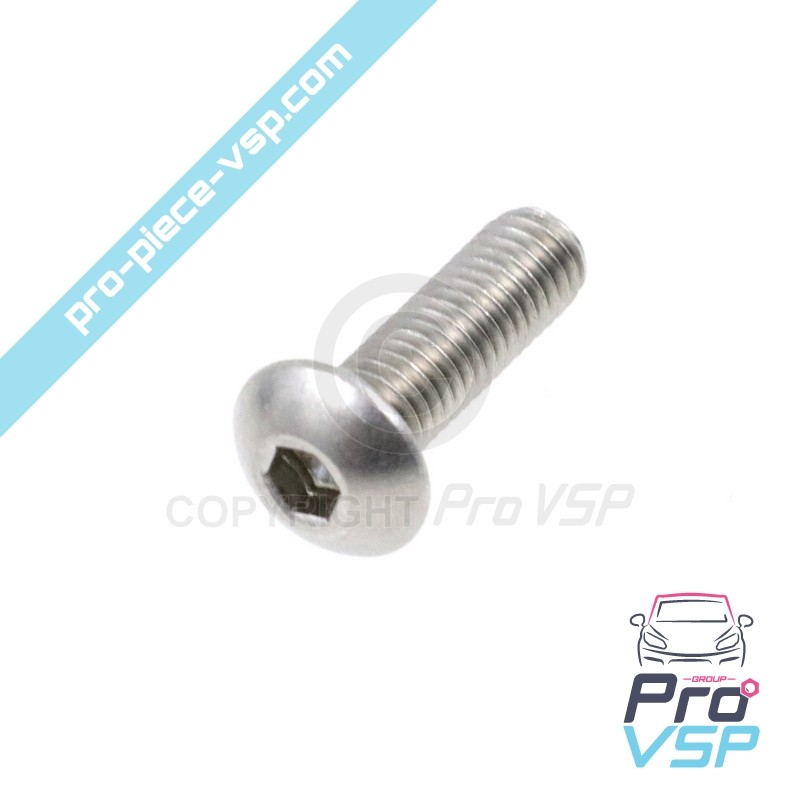 Door panel fastening screw