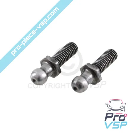 Used tailgate verin fasteners for Chatenet