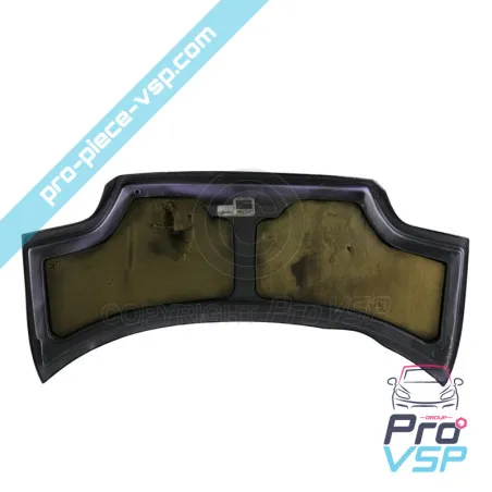 Occană Hood pentru Ligier 162