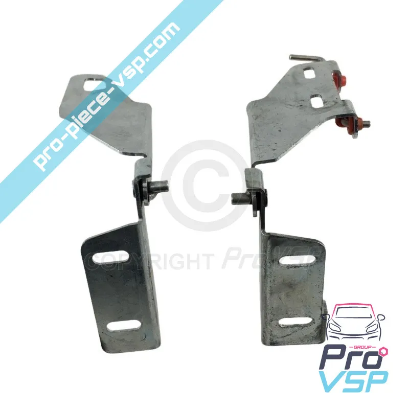 Cerniere del cappuccio utilizzate per Casalini M14 M20