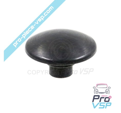 Rear window nut