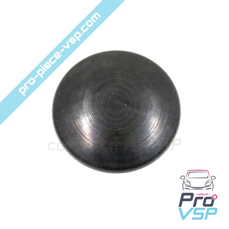 Rear window nut