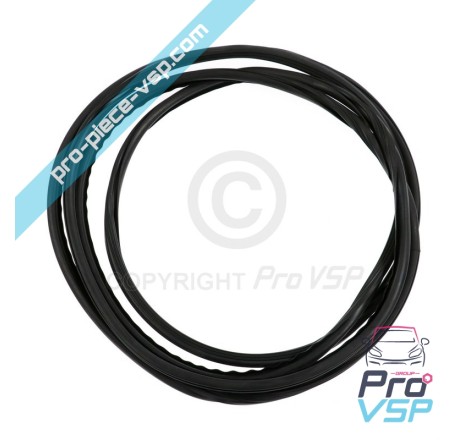 Windshield seal