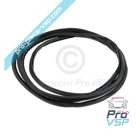 Windshield seal