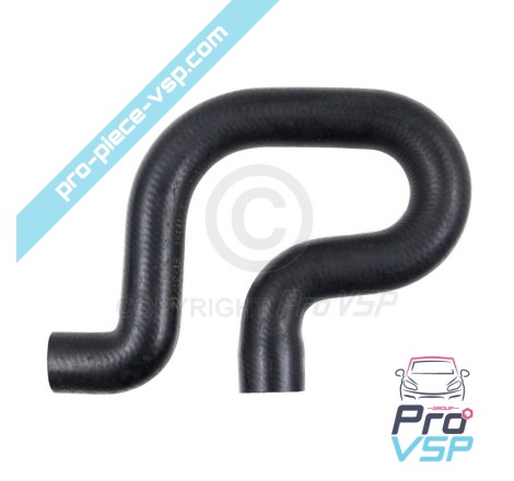 Radiator superior hose