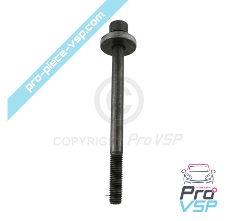 Engine variator screw