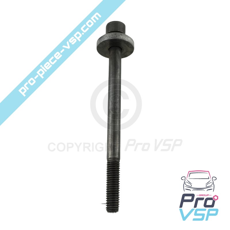 Engine variator screw