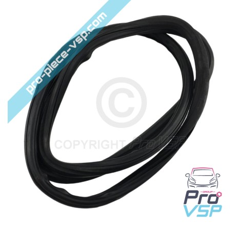 Windshield seal