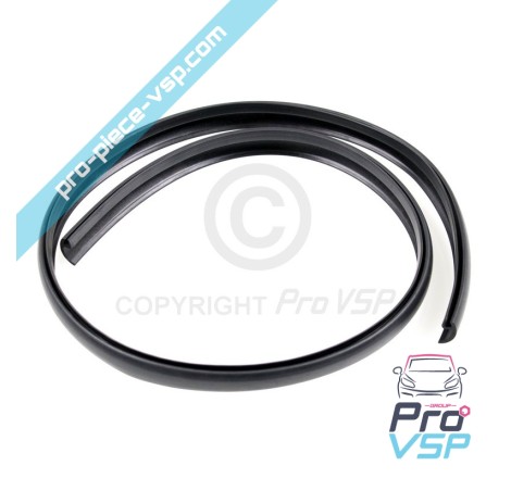 Windshield seal