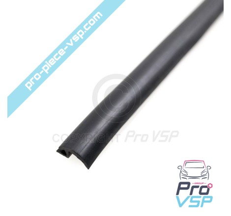 Windshield seal